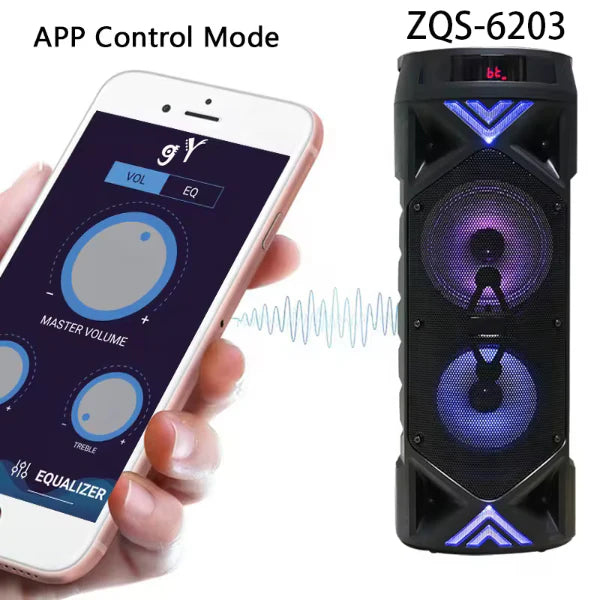 ZQS6203 BAFFLE SPEAKER